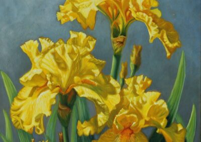 Yellow irises oil painting